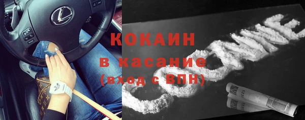 винт Абаза