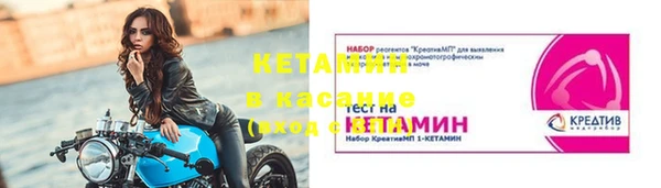 стафф Гатчина