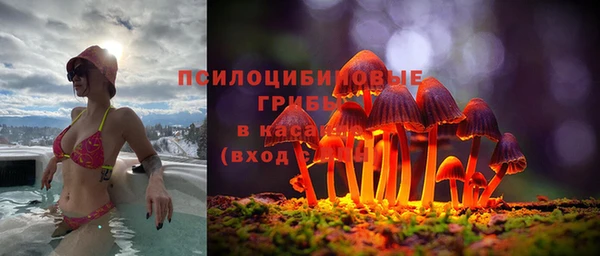 винт Абаза
