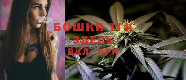 винт Абаза