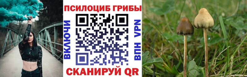 Псилоцибиновые грибы мухоморы  Истра 