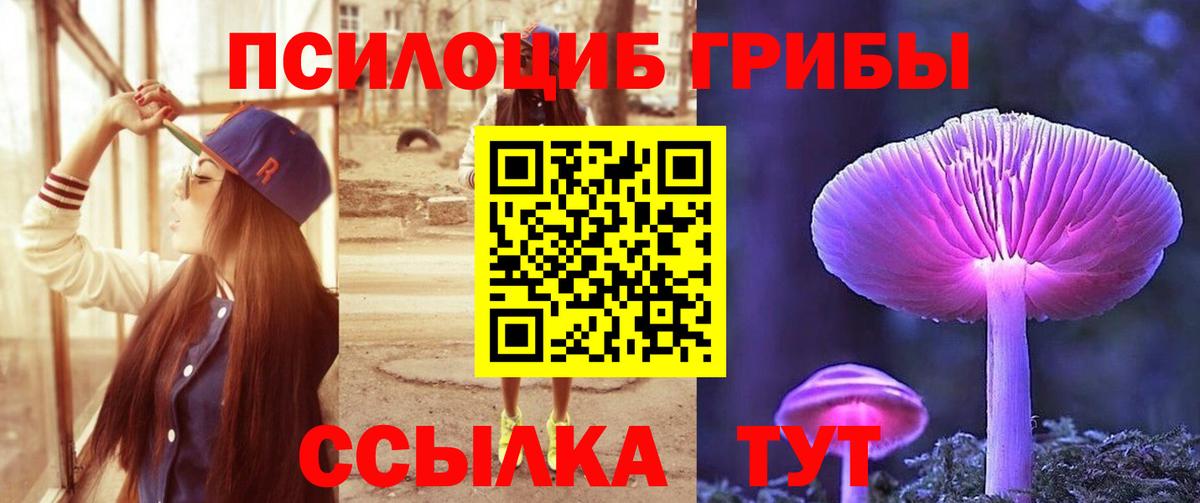 Истра  Псилоцибиновые грибы GOLDEN TEACHER  Вход с VPN 
